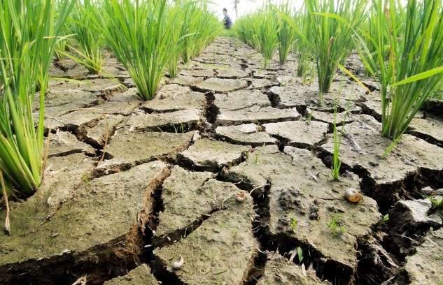kekeringan karena perubahan iklim