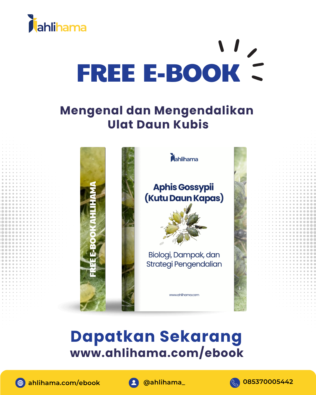 free ebook