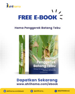 free ebook