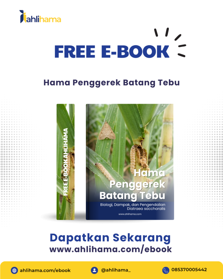 free ebook